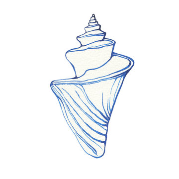 recommend clip art: Illustrations of underwater life objects - blue sea shell, marine design. Watercolor hand drawn painting illustration isolated on white background.