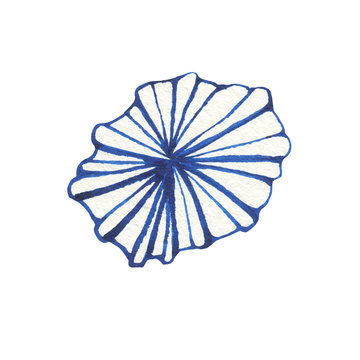 recommend clip art: Illustrations of underwater life objects - blue sea shell, marine design. Watercolor hand drawn painting illustration isolated on white background.