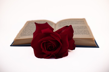 A gift of rose and a book, tradition of Saint George in Catalonia