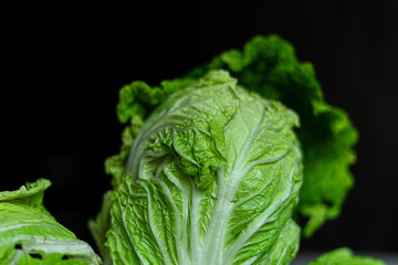 Beijing cabbage close-up, green leaves