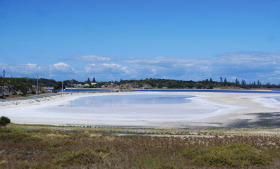 Crystals of salt on the lake shore
