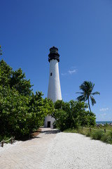 Lighthouse with Palm tree and Blue sky