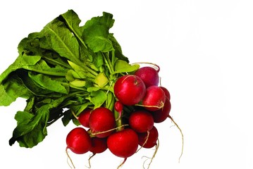 Close up view of red radish isolated on white background. Healthy food concept. 