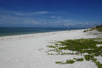 Beautiful Beach and a Blue ocean with some clouds