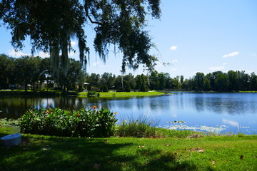 Lake with Green Gras