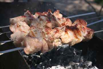 a pork meat on the grill in the spring garden