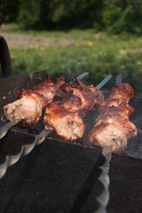 a pork meat on the grill in the spring garden