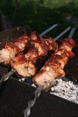 a pork meat on the grill in the spring garden