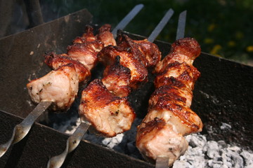 a pork meat on the grill in the spring garden