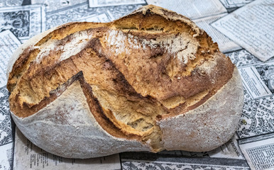 Pan de Masa madre de trigo