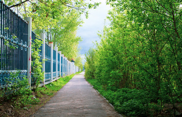 asphalt footpath along the fence