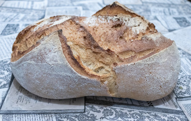 Pan de Masa madre de trigo