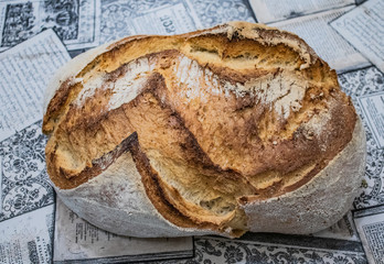 Pan de Masa madre de trigo