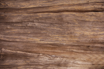 Old wood texture cut