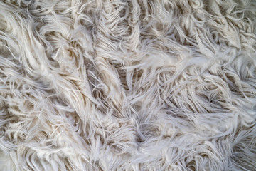 Texture of a white carpet with a long pile. Background