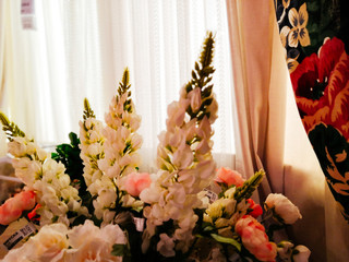 home plants in pots in the interior