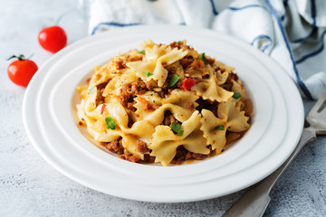 Minced beef tomato sauce pasta in a white plate