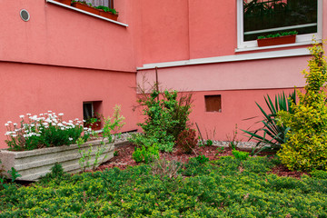 Fototapeta na wymiar red brick wall with flowers