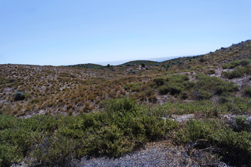 Australian vegetation