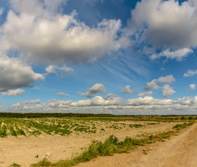 Fototapeta na wymiar Summer landscape with clouds and blue sky.