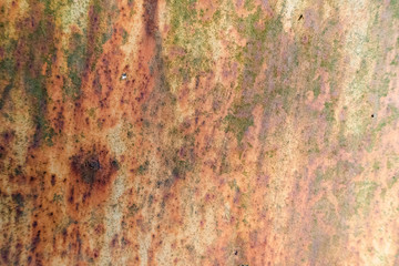 various colorful pictures to decorate your album or design