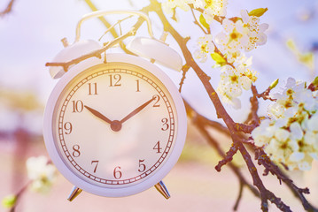 Hand hold vintage alarm clock against blue sky and blooming plant. Deadline and change time concept