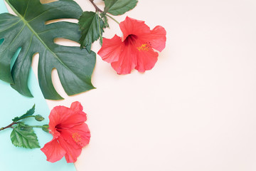 Tropical Monstera leaves and red hibiskus summer minimal background with a space for text. Flatlay...