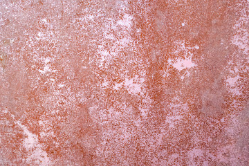 various colorful pictures to decorate your album or design