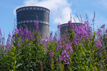 Russian Power plant with two coolers and violet flowers around it