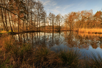 beautiful sunrise at the Skylakes Plothen, Trees reflection,   Thuringia, Germany