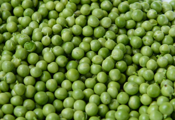 fresh shelled peas