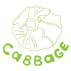 Stylized outline vector cabbage colorful isolated illustration. Organic vegetarian product. Vector for design packaging, wrapping, background, banner, poster, notebook.
