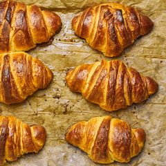 Top view of freshly baked croissants with brown crust on a baking sheet. Homemade pastry from puff dough. 