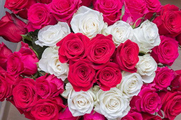 Fototapeta premium Multi-colored bouquet of red, pink and white roses