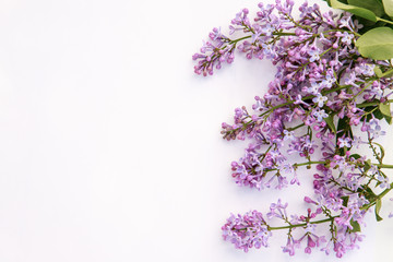 Flower composition. Frame of lilac flowers on a white background. Flat lay, space for text.