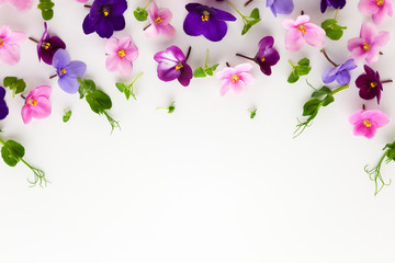 Fototapeta na wymiar Spring or summer flower composition with edible violets and micro greens on white background. Flat lay, copy space. Healthy life and flowers concept.