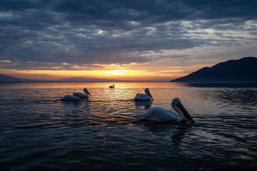 OLYMPUS DIGITAL CAMERA © Grzegorz