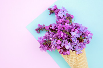 Lilac flowers in an ice cream cone on a pink-blue background. Spring composition.Flat lay, space for text. Valentine's day, mother's day, womens day concept.