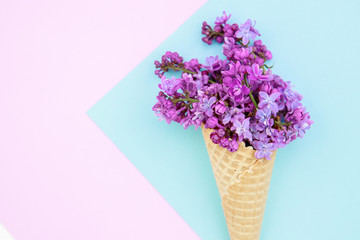 Flower composition. Lilac flowers in an ice cream cone on a pink-blue background. Flat lay, space for text. Valentine's day, mother's day, womens day concept.