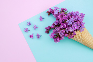 Lilac flowers in an ice cream cone on a pink-blue background. Spring composition.Flat lay, space for text. Valentine's day, mother's day, womens day concept.