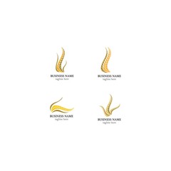 Wheat logo template vector icon