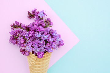 Lilac flowers in an ice cream cone on a pink-blue background. Spring composition.Flat lay, space for text. Valentine's day, mother's day, womens day concept.