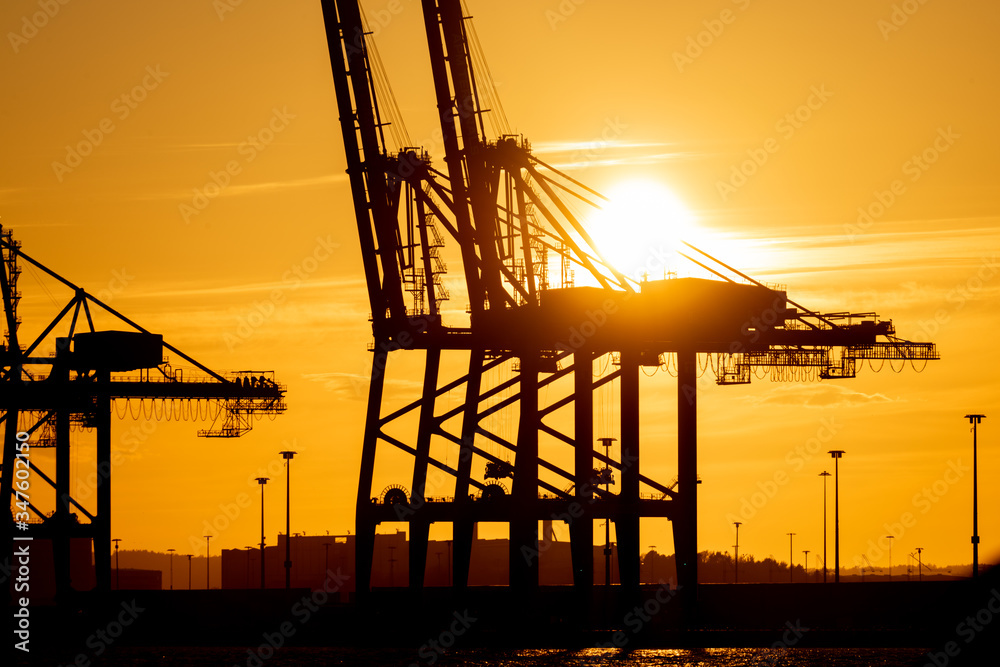 Wall mural large ship to shore container cranes at sunset..