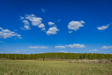 Obraz premium Blue sky with clouds and a green field