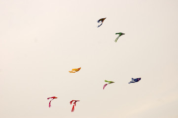 Many kites flying in the beach of Colombo Sri Lanka