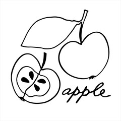 Whole apple and the half of it. Black and white vector illustration with hand lettering. Perfect for coloring book, teaching aid, illustrated summary, other design projects