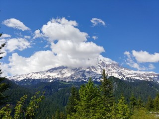 Fototapeta premium Mount Rainier