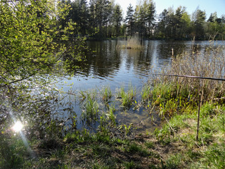 Obraz premium Pond, lake, fishing. A place for fishing. Quiet, calm lake, spinning fishing process.
