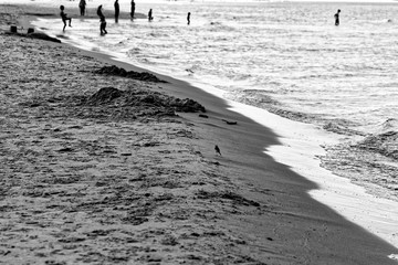 Fototapeta na wymiar on the beach Dębki Poland detail