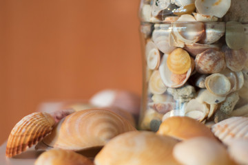 Pote de cristal con caracolas. 